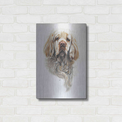 Luxe Metal Art 'Clumber Spaniel' by Barbara Keith, Metal Wall Art,16x24