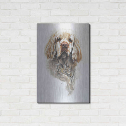 Luxe Metal Art 'Clumber Spaniel' by Barbara Keith, Metal Wall Art,24x36