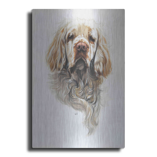 Luxe Metal Art 'Clumber Spaniel' by Barbara Keith, Metal Wall Art