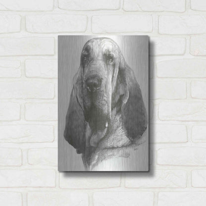 Luxe Metal Art 'Distinguished' by Barbara Keith, Metal Wall Art,12x16