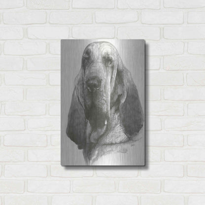 Luxe Metal Art 'Distinguished' by Barbara Keith, Metal Wall Art,16x24