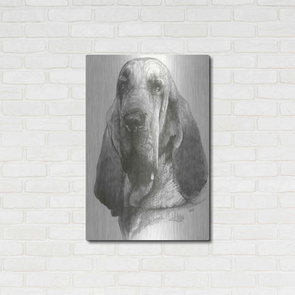 Luxe Metal Art 'Distinguished' by Barbara Keith, Metal Wall Art,24x36