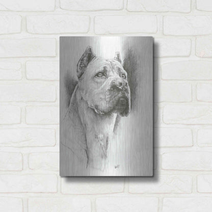 Luxe Metal Art 'Dynamic' by Barbara Keith, Metal Wall Art,12x16