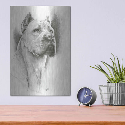 Luxe Metal Art 'Dynamic' by Barbara Keith, Metal Wall Art,12x16