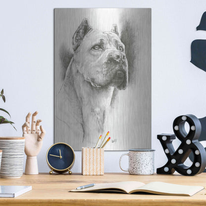 Luxe Metal Art 'Dynamic' by Barbara Keith, Metal Wall Art,12x16