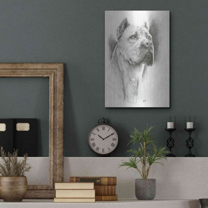 Luxe Metal Art 'Dynamic' by Barbara Keith, Metal Wall Art,12x16