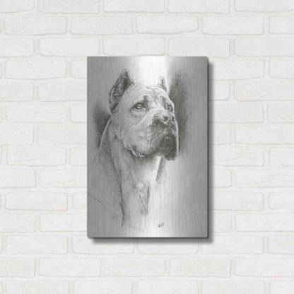 Luxe Metal Art 'Dynamic' by Barbara Keith, Metal Wall Art,16x24