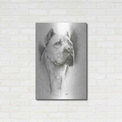 Luxe Metal Art 'Dynamic' by Barbara Keith, Metal Wall Art,24x36