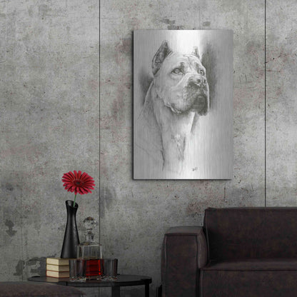 Luxe Metal Art 'Dynamic' by Barbara Keith, Metal Wall Art,24x36