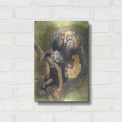 Luxe Metal Art 'Languid' by Barbara Keith, Metal Wall Art,12x16