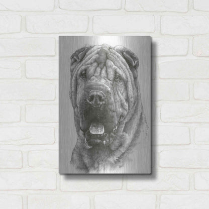 Luxe Metal Art 'Prestige' by Barbara Keith, Metal Wall Art,12x16