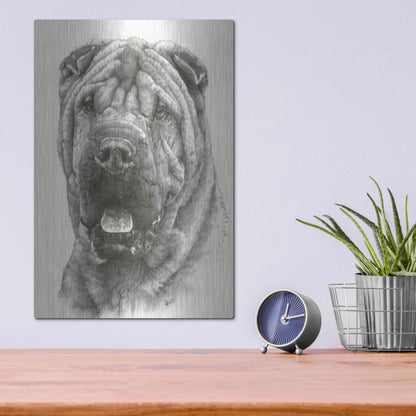 Luxe Metal Art 'Prestige' by Barbara Keith, Metal Wall Art,12x16