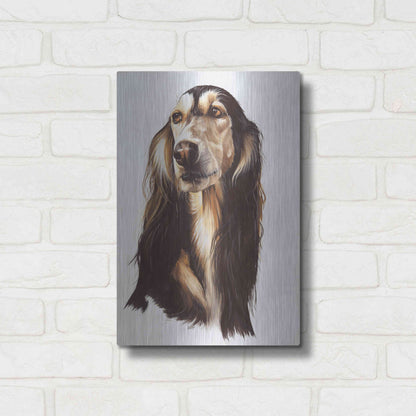 Luxe Metal Art 'Saluki 2' by Barbara Keith, Metal Wall Art,12x16