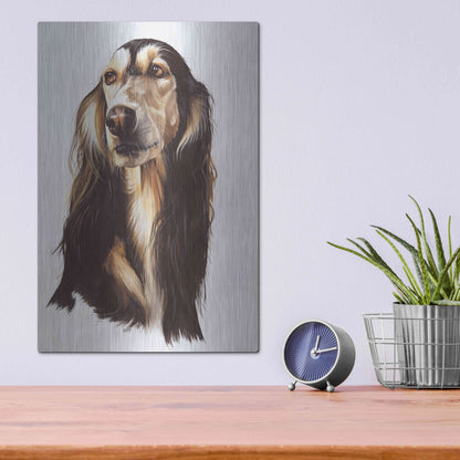 Luxe Metal Art 'Saluki 2' by Barbara Keith, Metal Wall Art,12x16