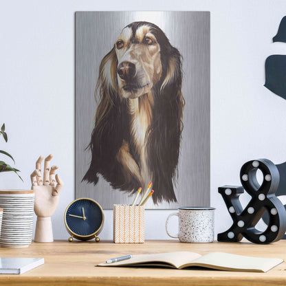 Luxe Metal Art 'Saluki 2' by Barbara Keith, Metal Wall Art,12x16