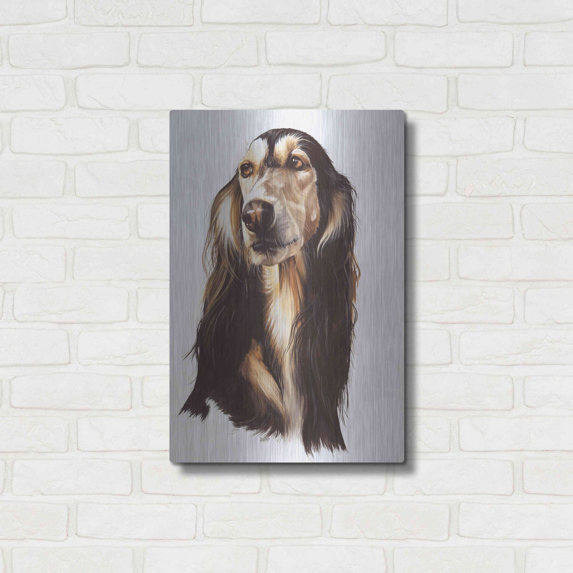 Luxe Metal Art 'Saluki 2' by Barbara Keith, Metal Wall Art,16x24