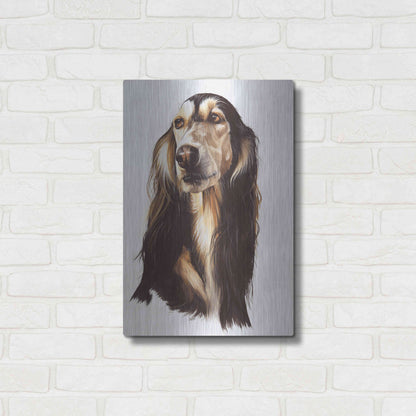 Luxe Metal Art 'Saluki 2' by Barbara Keith, Metal Wall Art,16x24