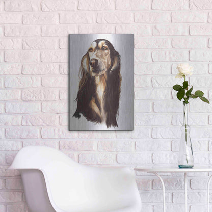 Luxe Metal Art 'Saluki 2' by Barbara Keith, Metal Wall Art,16x24