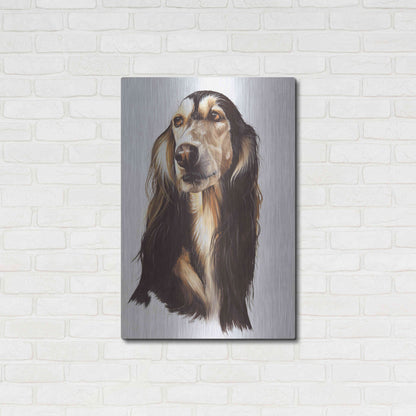 Luxe Metal Art 'Saluki 2' by Barbara Keith, Metal Wall Art,24x36