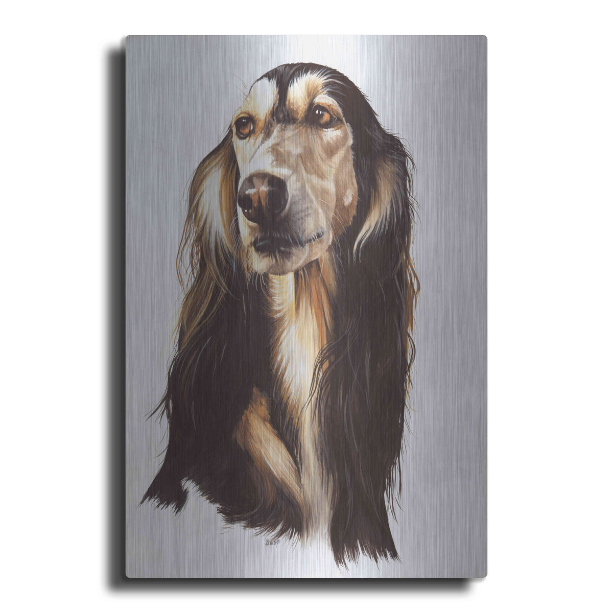 Luxe Metal Art 'Saluki 2' by Barbara Keith, Metal Wall Art