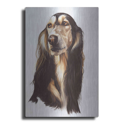 Luxe Metal Art 'Saluki 2' by Barbara Keith, Metal Wall Art