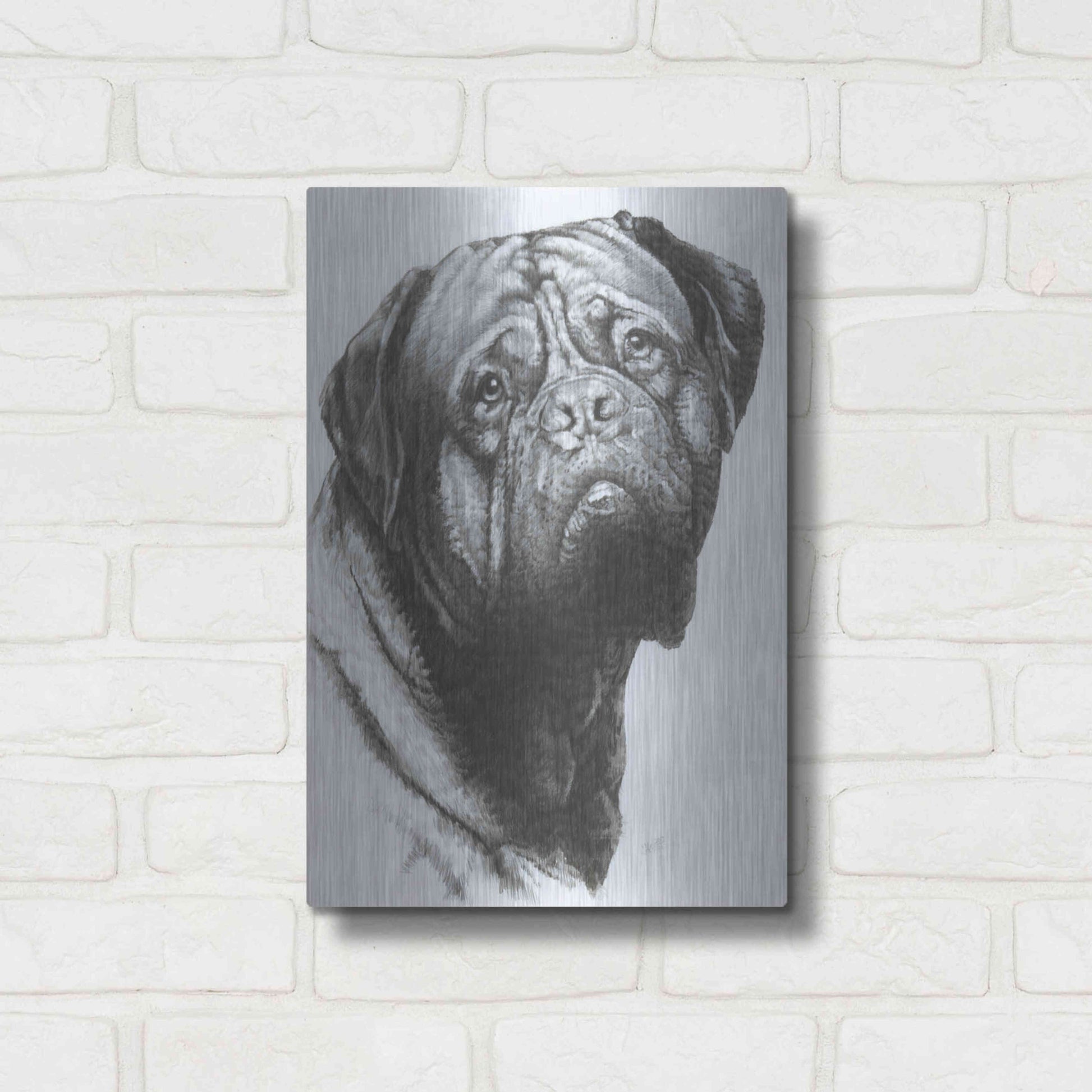 Luxe Metal Art 'Dogo de Bordeaux' by Barbara Keith, Metal Wall Art,12x16