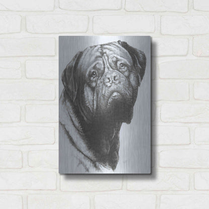 Luxe Metal Art 'Dogo de Bordeaux' by Barbara Keith, Metal Wall Art,12x16