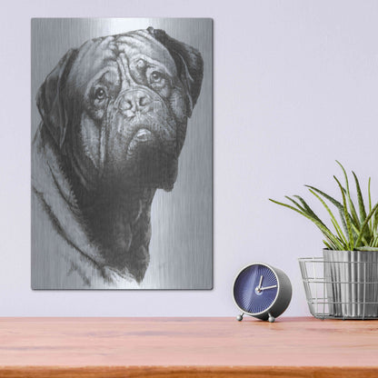 Luxe Metal Art 'Dogo de Bordeaux' by Barbara Keith, Metal Wall Art,12x16