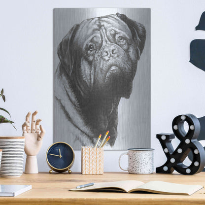 Luxe Metal Art 'Dogo de Bordeaux' by Barbara Keith, Metal Wall Art,12x16