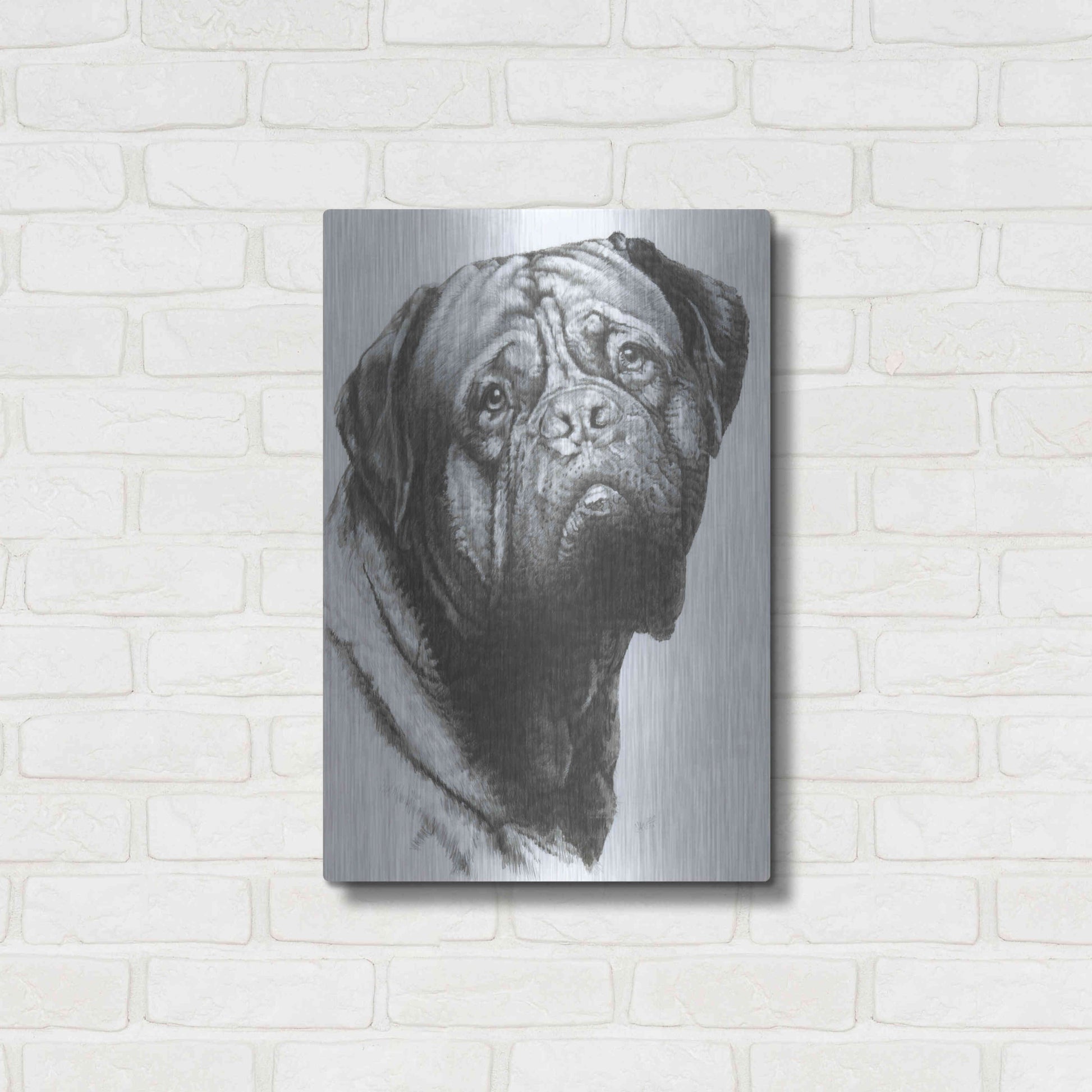 Luxe Metal Art 'Dogo de Bordeaux' by Barbara Keith, Metal Wall Art,16x24