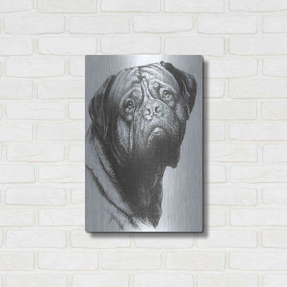 Luxe Metal Art 'Dogo de Bordeaux' by Barbara Keith, Metal Wall Art,16x24