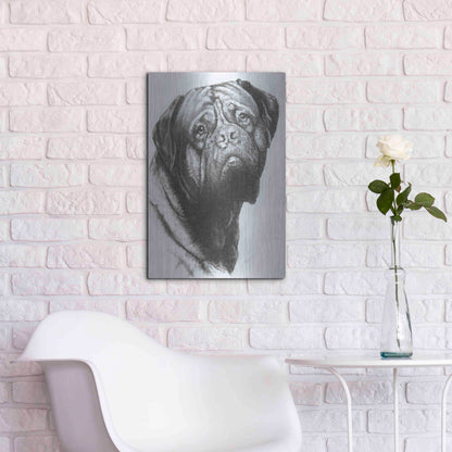 Luxe Metal Art 'Dogo de Bordeaux' by Barbara Keith, Metal Wall Art,16x24