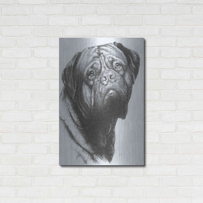 Luxe Metal Art 'Dogo de Bordeaux' by Barbara Keith, Metal Wall Art,24x36