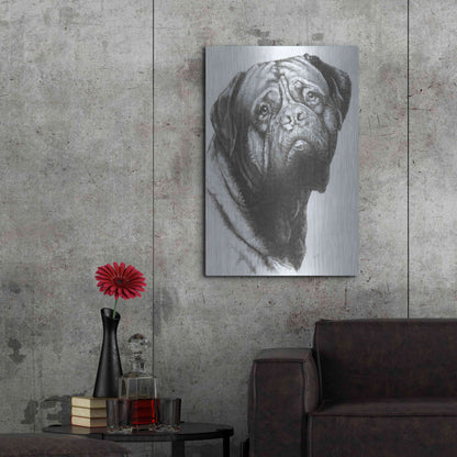 Luxe Metal Art 'Dogo de Bordeaux' by Barbara Keith, Metal Wall Art,24x36