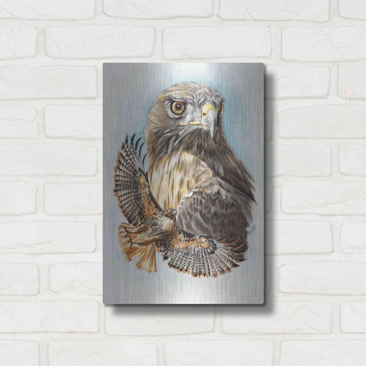 Luxe Metal Art 'Hawkeye' by Barbara Keith, Metal Wall Art,12x16