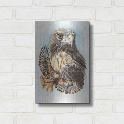 Luxe Metal Art 'Hawkeye' by Barbara Keith, Metal Wall Art,12x16