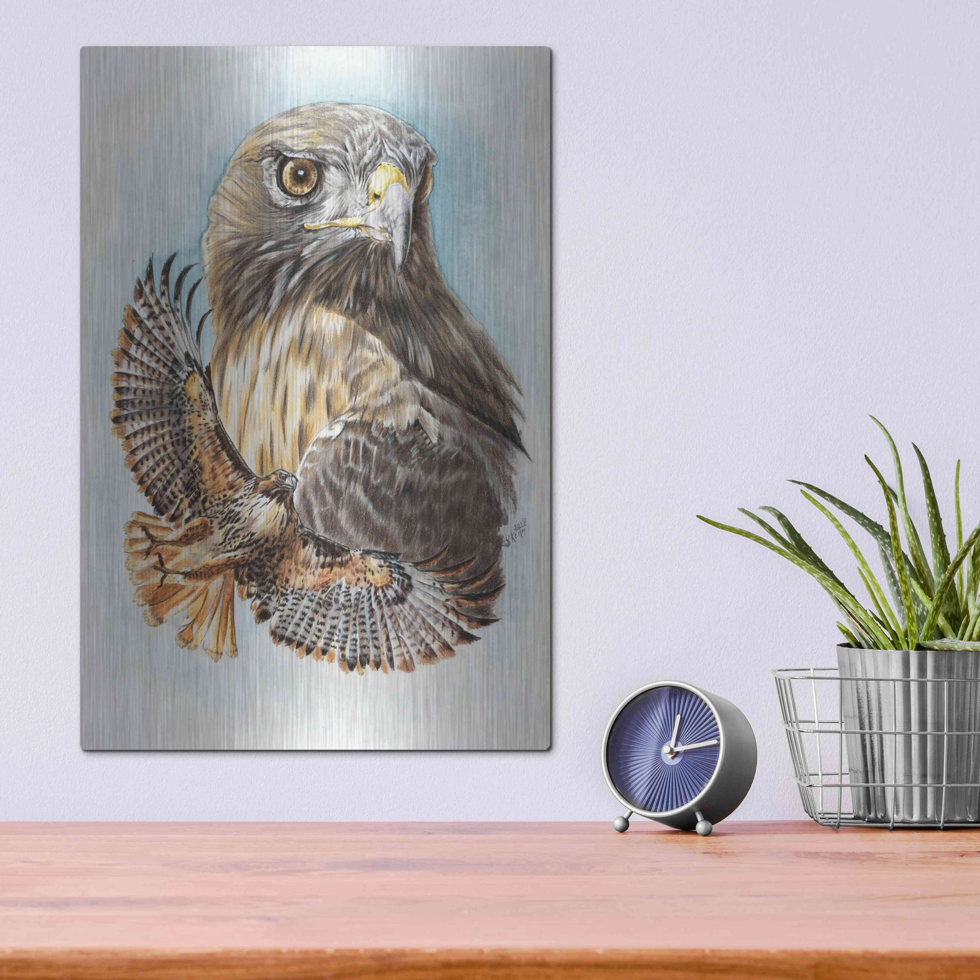 Luxe Metal Art 'Hawkeye' by Barbara Keith, Metal Wall Art,12x16