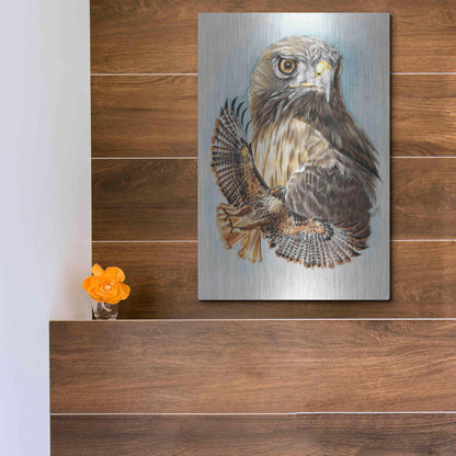 Luxe Metal Art 'Hawkeye' by Barbara Keith, Metal Wall Art,12x16