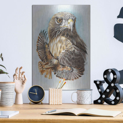 Luxe Metal Art 'Hawkeye' by Barbara Keith, Metal Wall Art,12x16