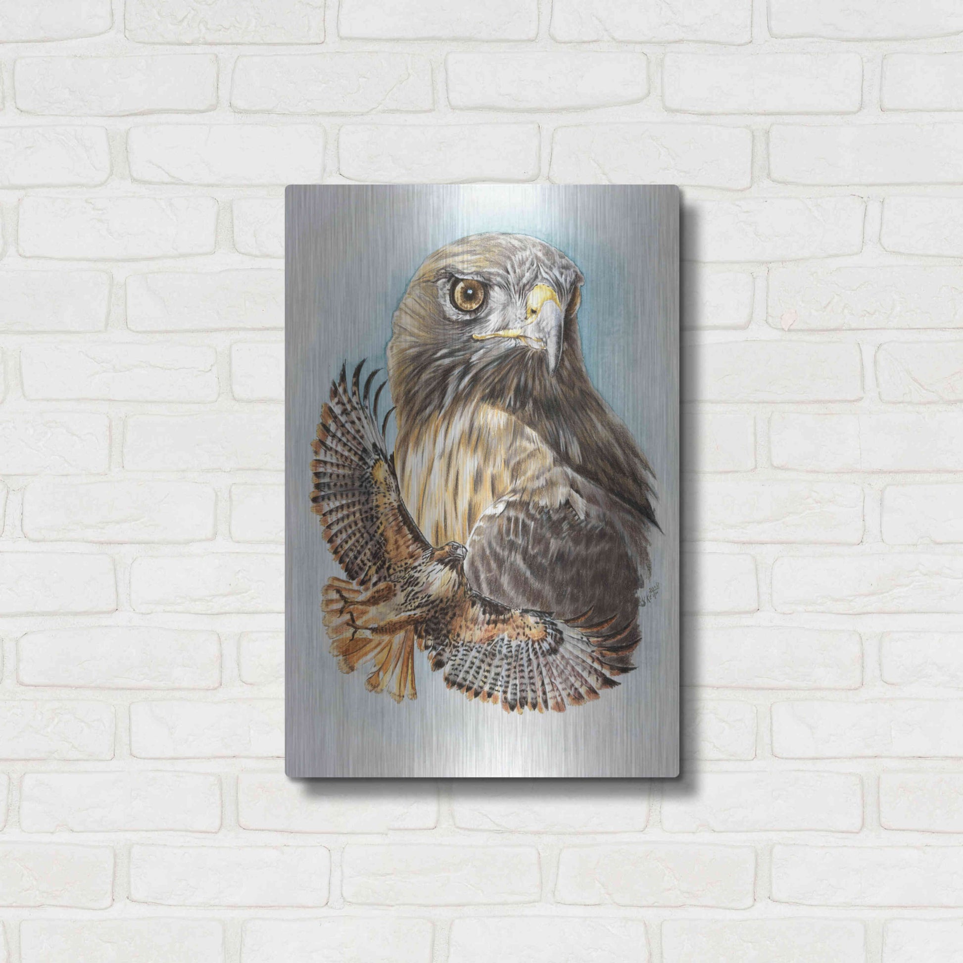 Luxe Metal Art 'Hawkeye' by Barbara Keith, Metal Wall Art,16x24