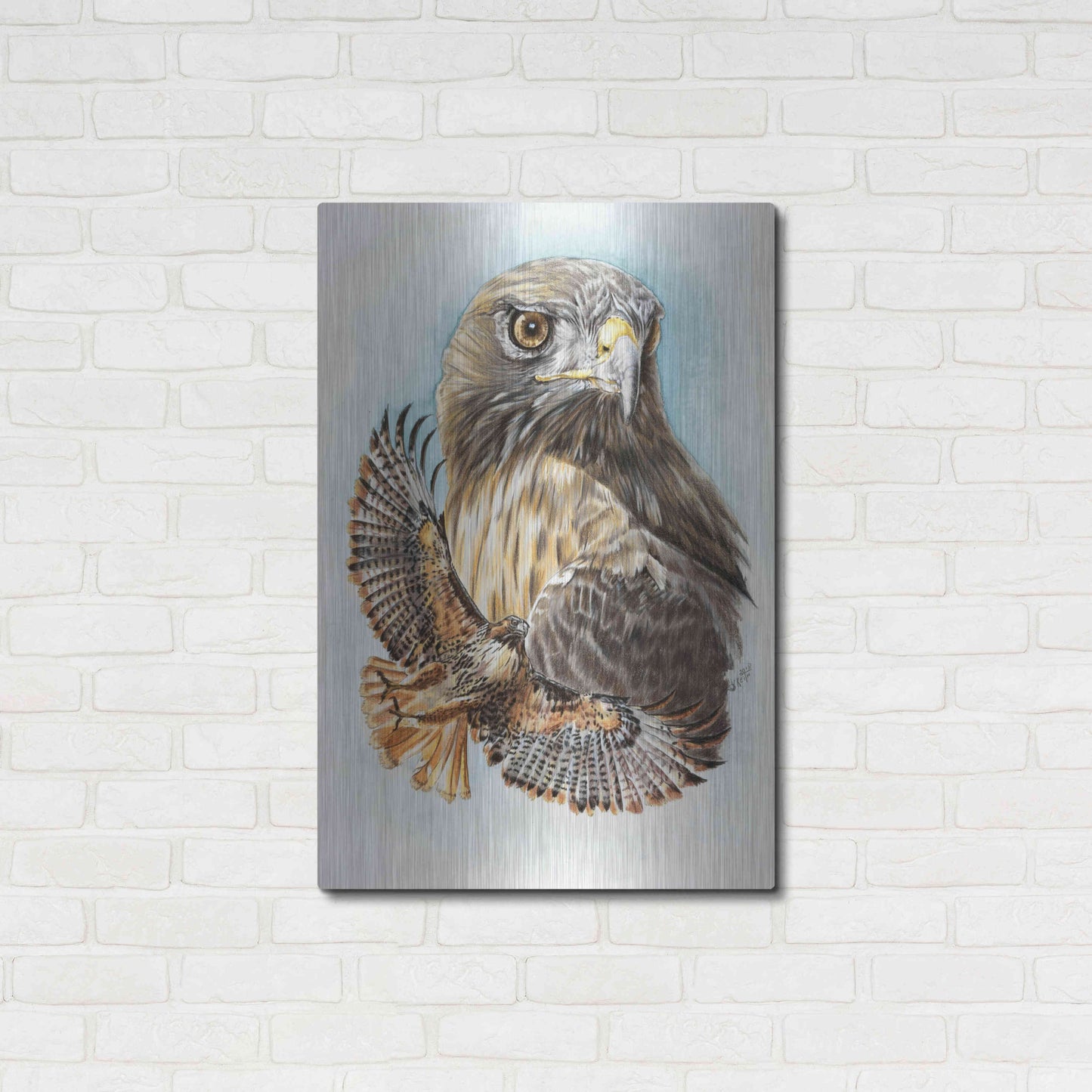 Luxe Metal Art 'Hawkeye' by Barbara Keith, Metal Wall Art,24x36