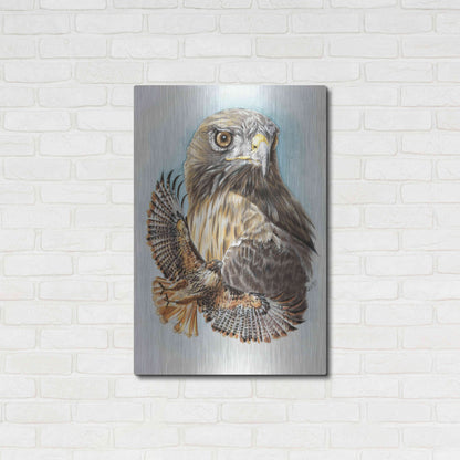 Luxe Metal Art 'Hawkeye' by Barbara Keith, Metal Wall Art,24x36