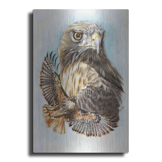 Luxe Metal Art 'Hawkeye' by Barbara Keith, Metal Wall Art