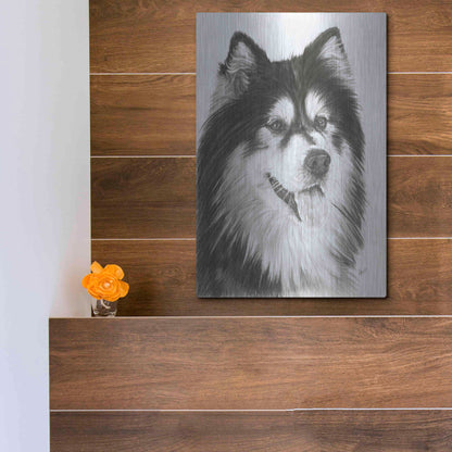 Luxe Metal Art 'Indomitablie' by Barbara Keith, Metal Wall Art,12x16