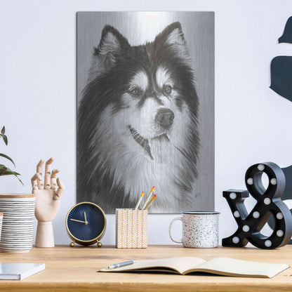 Luxe Metal Art 'Indomitablie' by Barbara Keith, Metal Wall Art,12x16