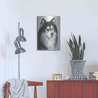 Luxe Metal Art 'Indomitablie' by Barbara Keith, Metal Wall Art,16x24