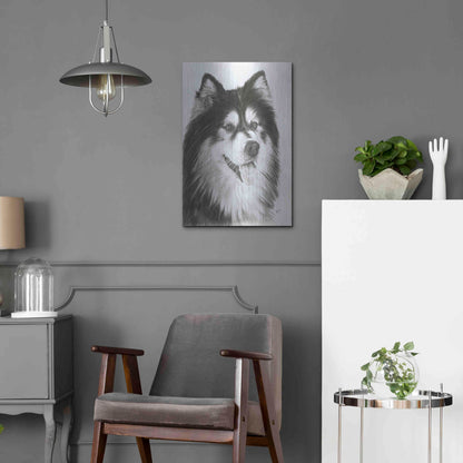 Luxe Metal Art 'Indomitablie' by Barbara Keith, Metal Wall Art,16x24