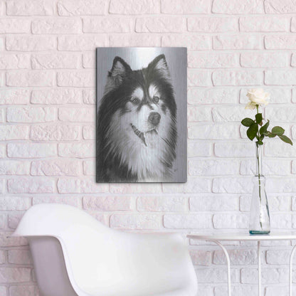 Luxe Metal Art 'Indomitablie' by Barbara Keith, Metal Wall Art,16x24