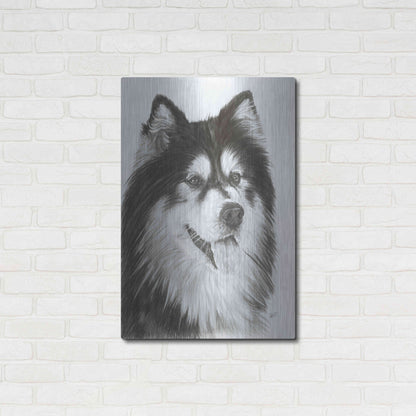 Luxe Metal Art 'Indomitablie' by Barbara Keith, Metal Wall Art,24x36