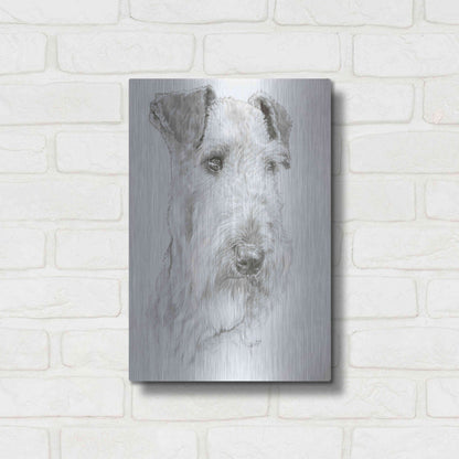 Luxe Metal Art 'Shaggy' by Barbara Keith, Metal Wall Art,12x16